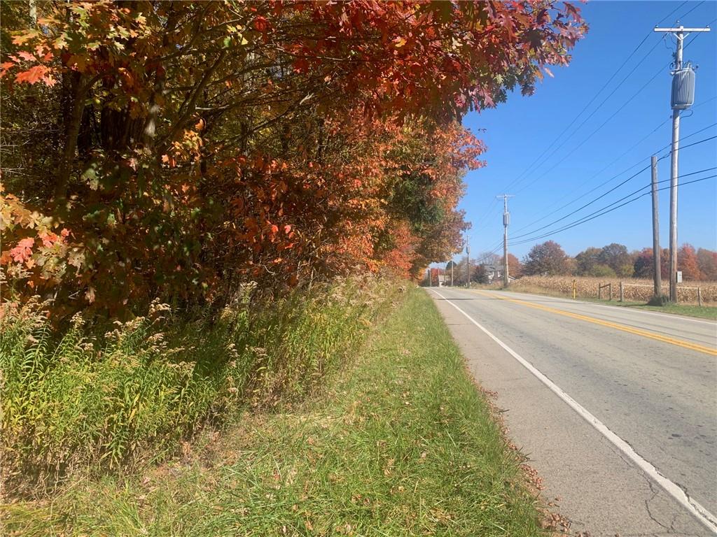 a view of a road with a yard