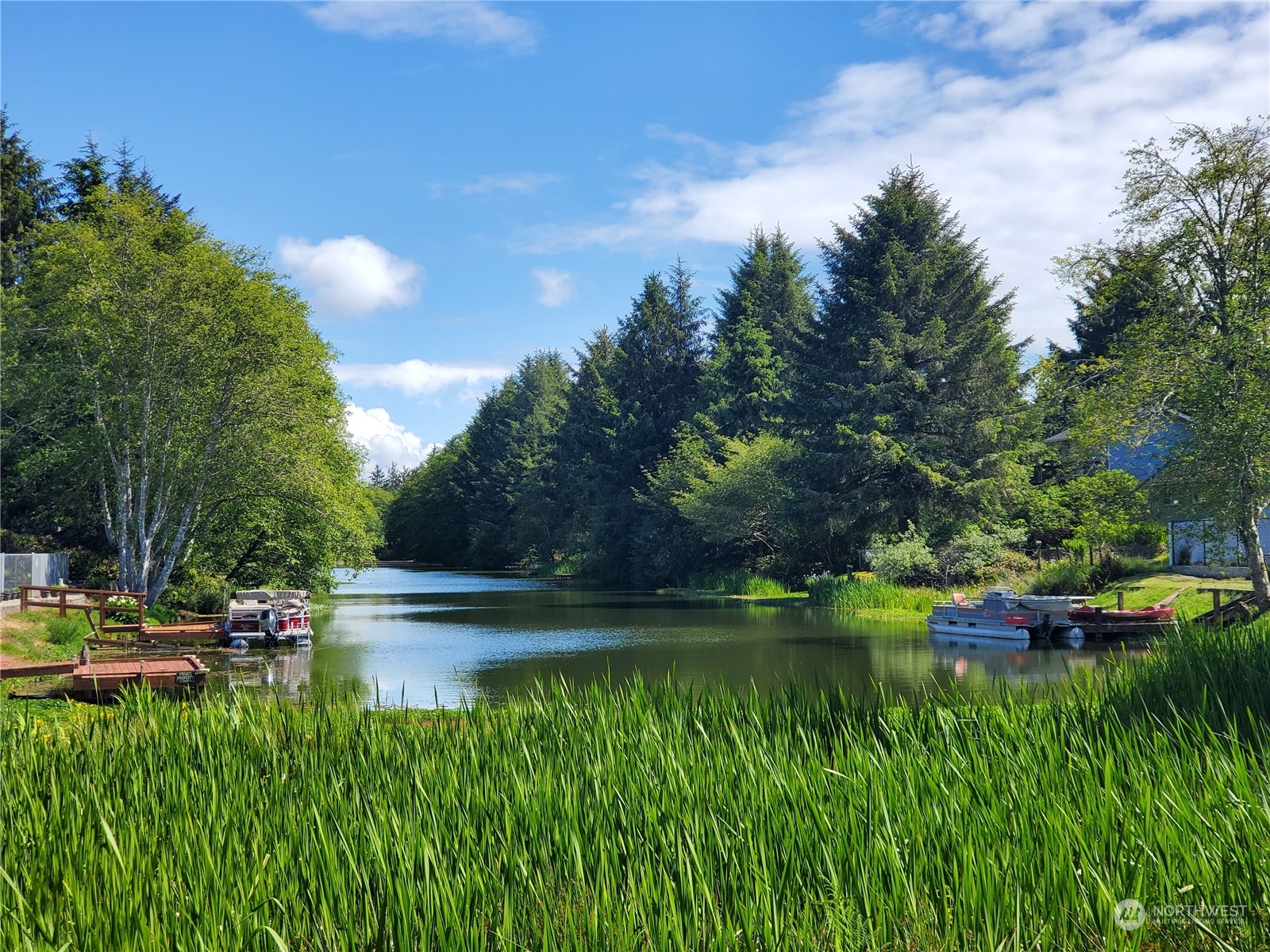 a view of a lake with lawn chairs and large trees