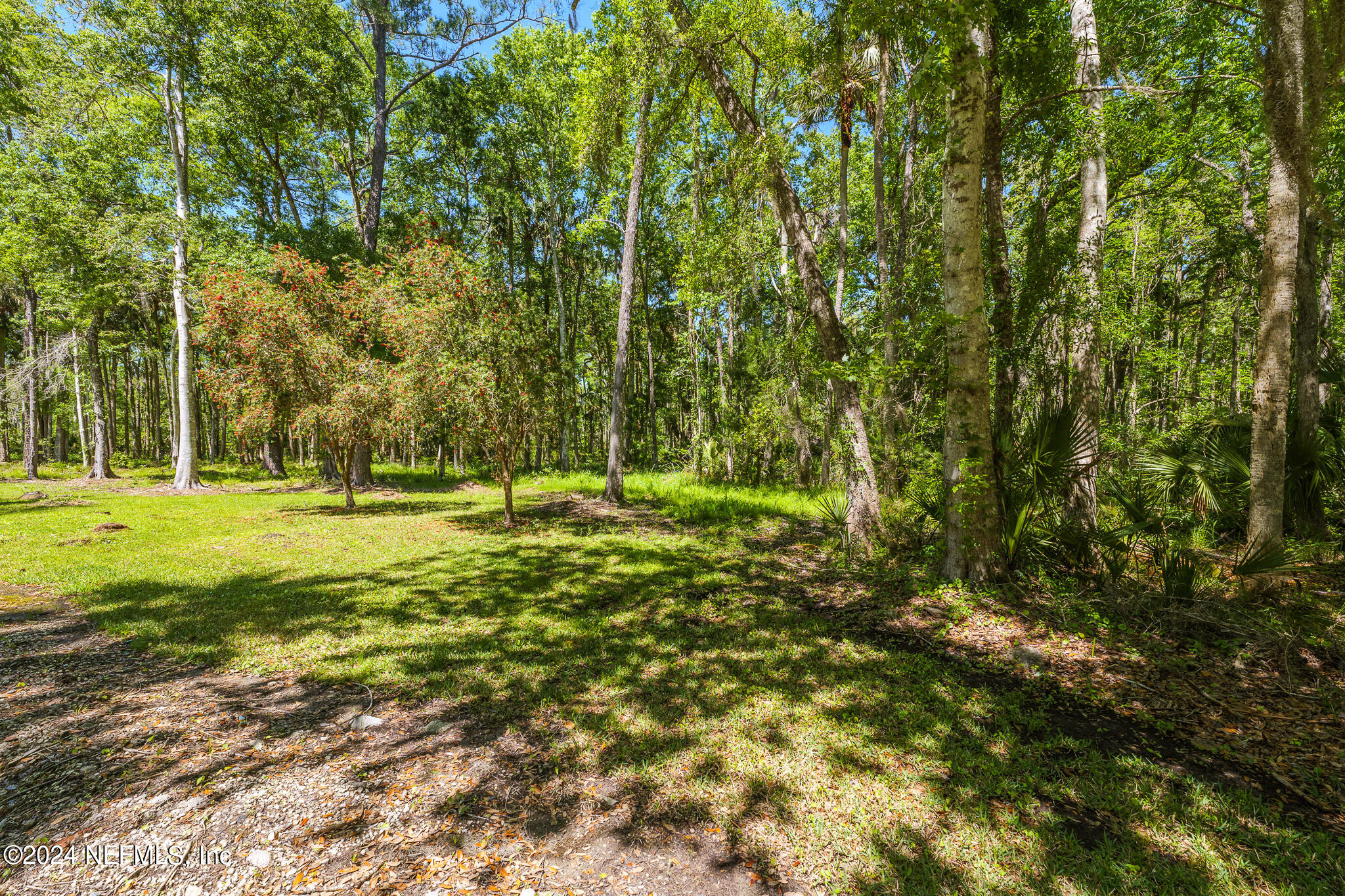 a view of yard with green space