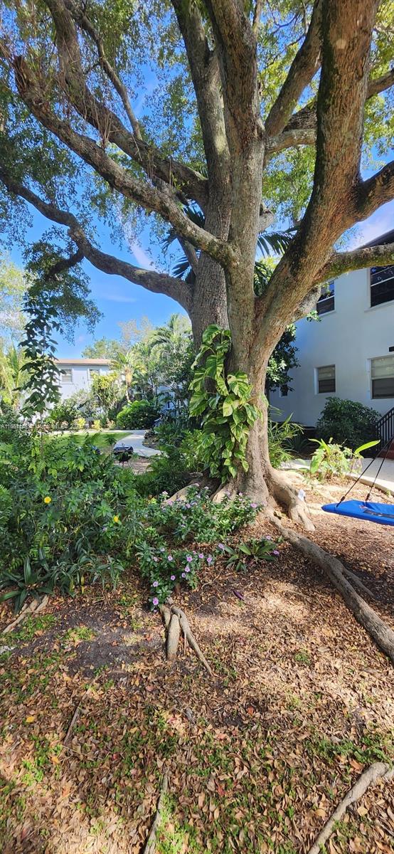 a view of a backyard of a house