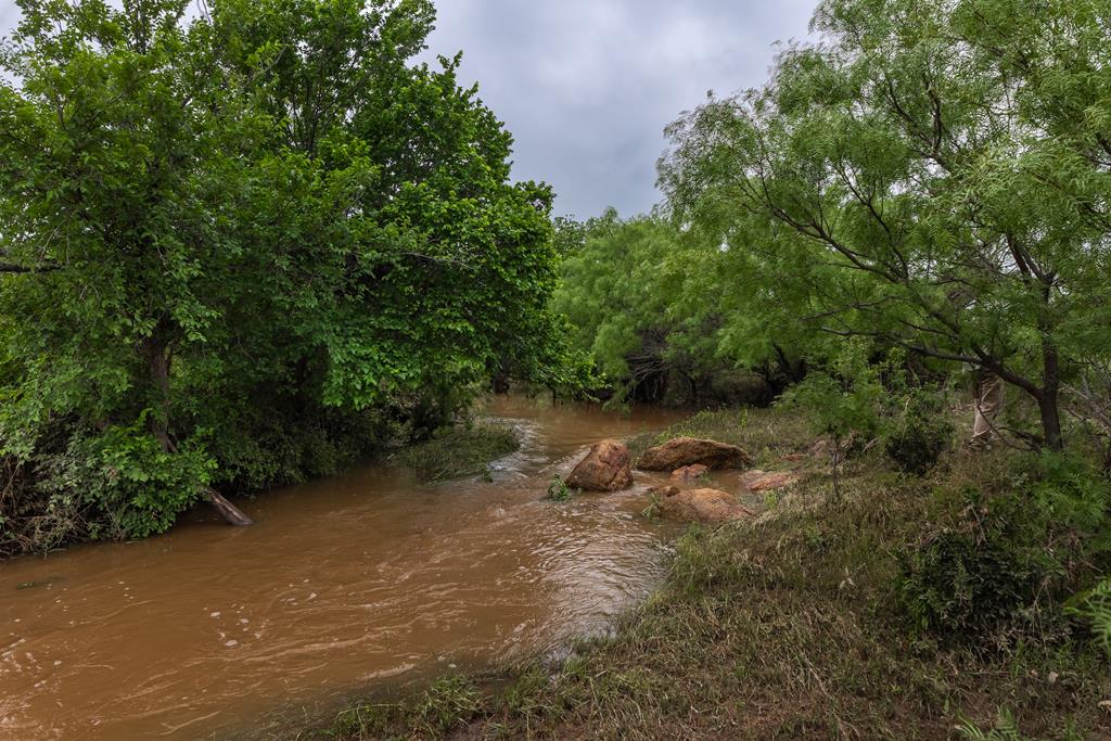 a view of a lush green forest with lots of trees