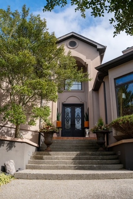 a large tree in front of a house