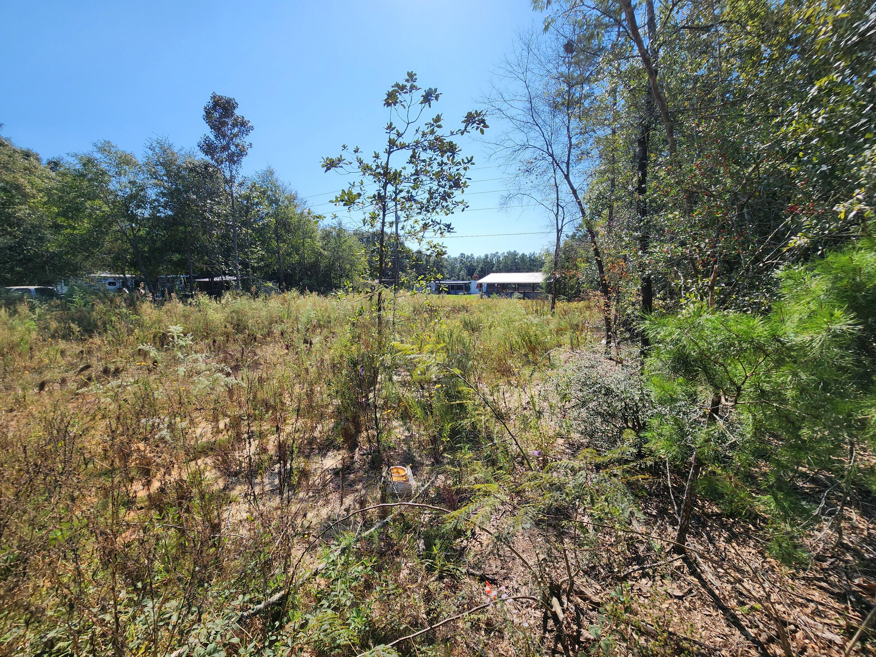 a view of a yard with trees in the background