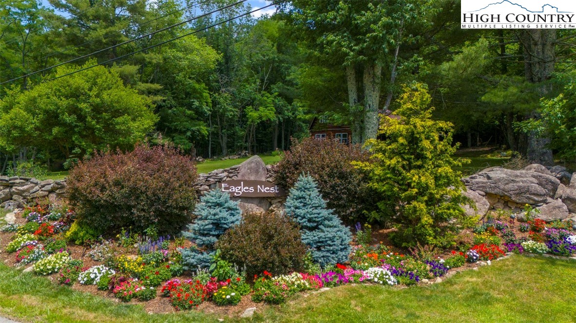 a view of a bunch of flowers and trees