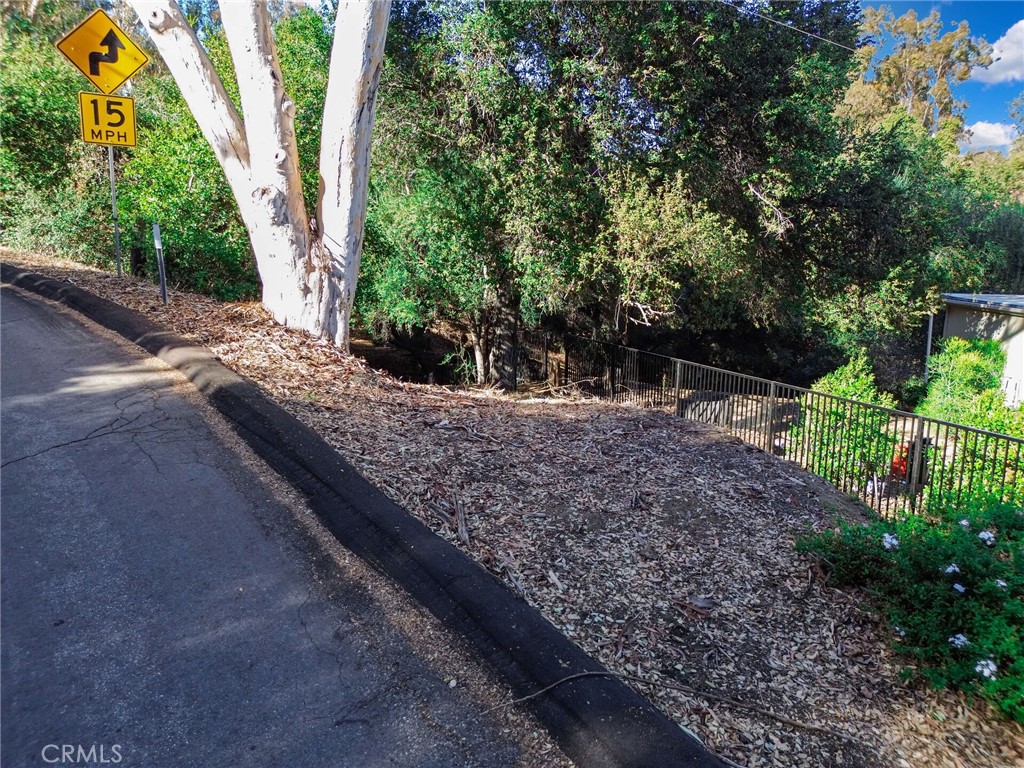 a view of a backyard with tree