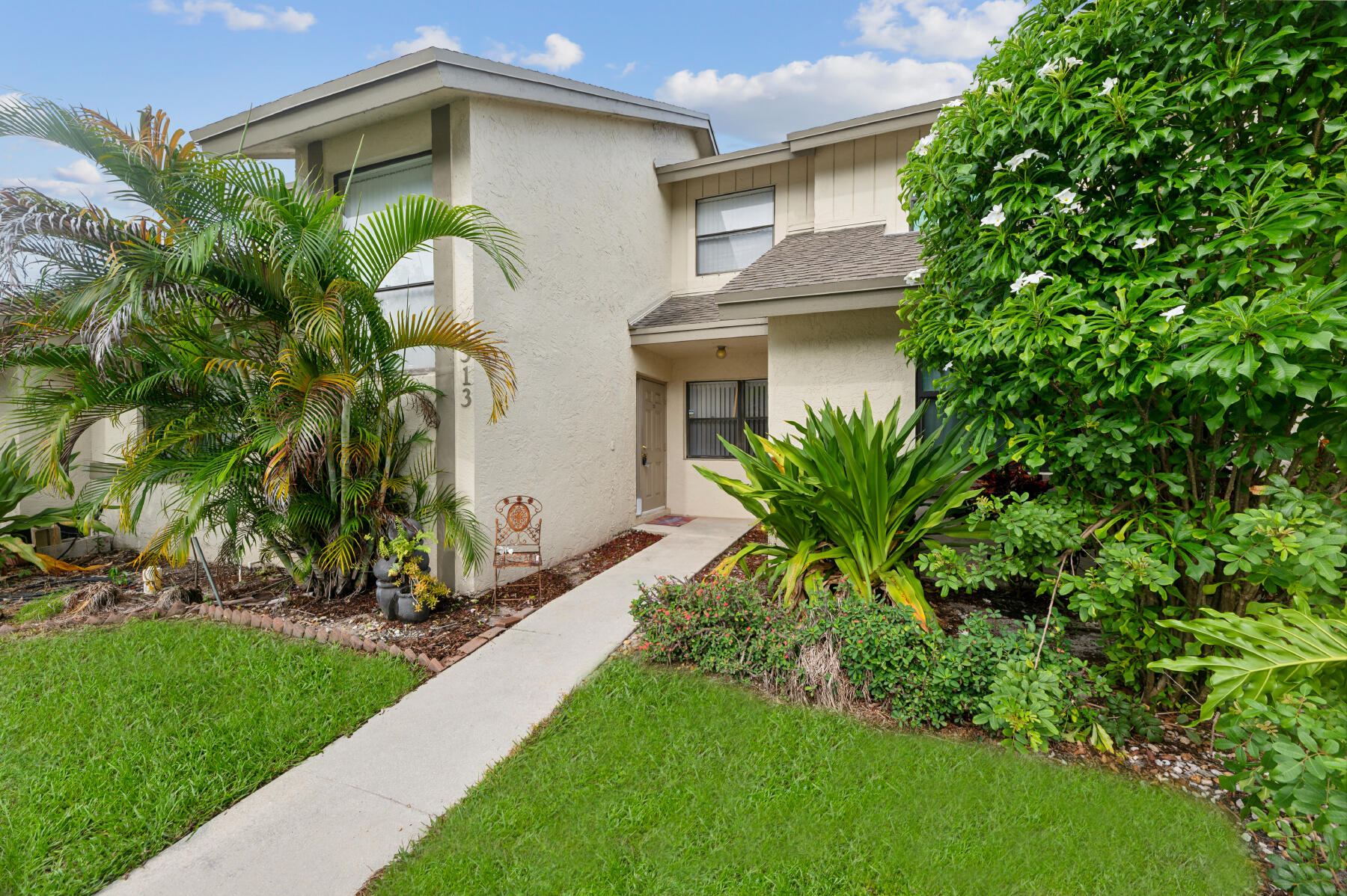 a view of a backyard with plants and a large tree