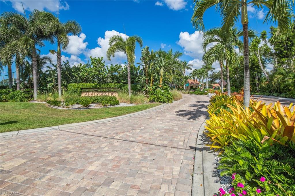 a view of a park with plants and palm trees