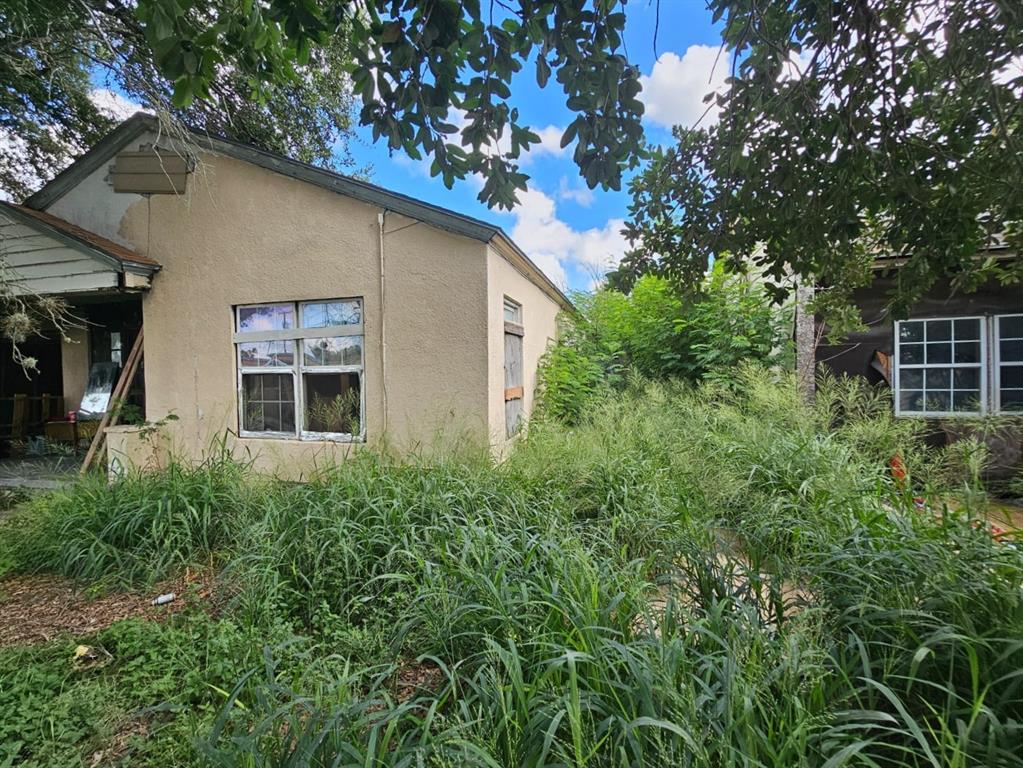 a backyard of a house with plants and tree