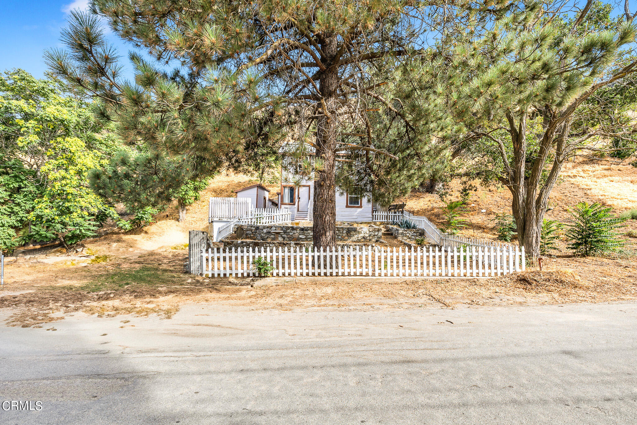 a view of a house with a large tree