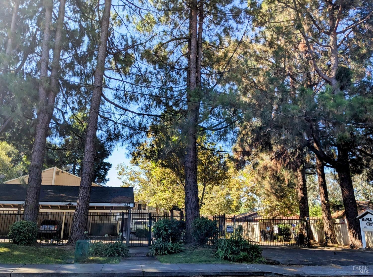 a view of house with yard and trees