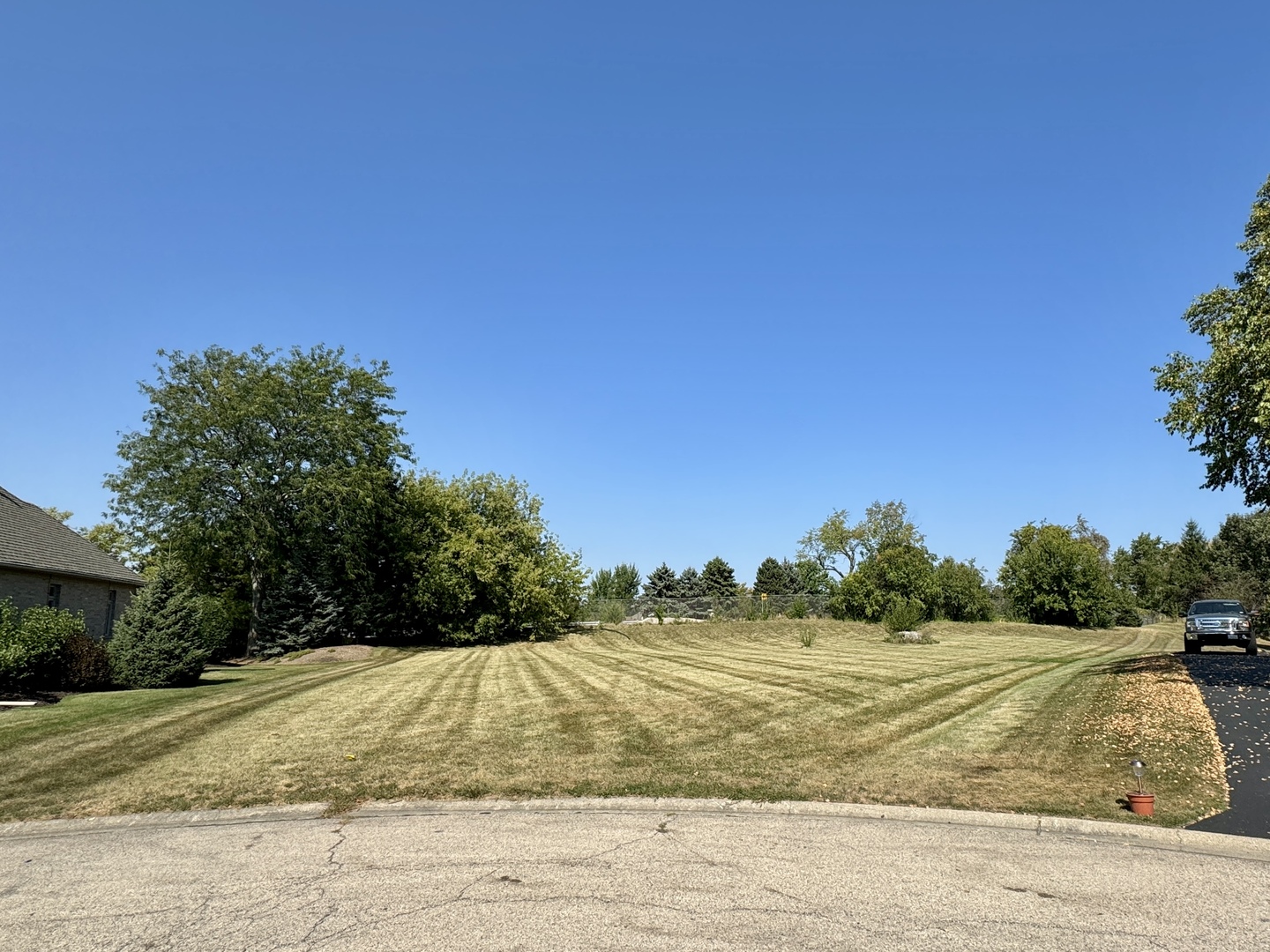 a view of yard with tree in the background