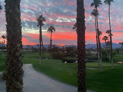 a view of a yard and sunset view