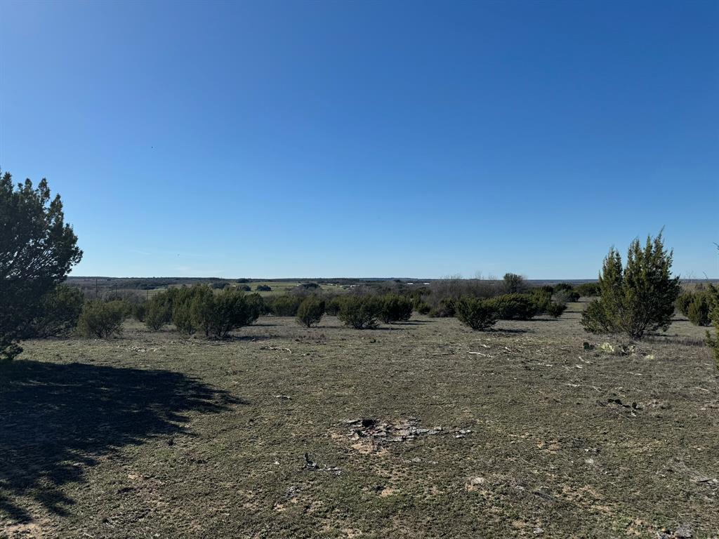 a view of a dry field with trees in background