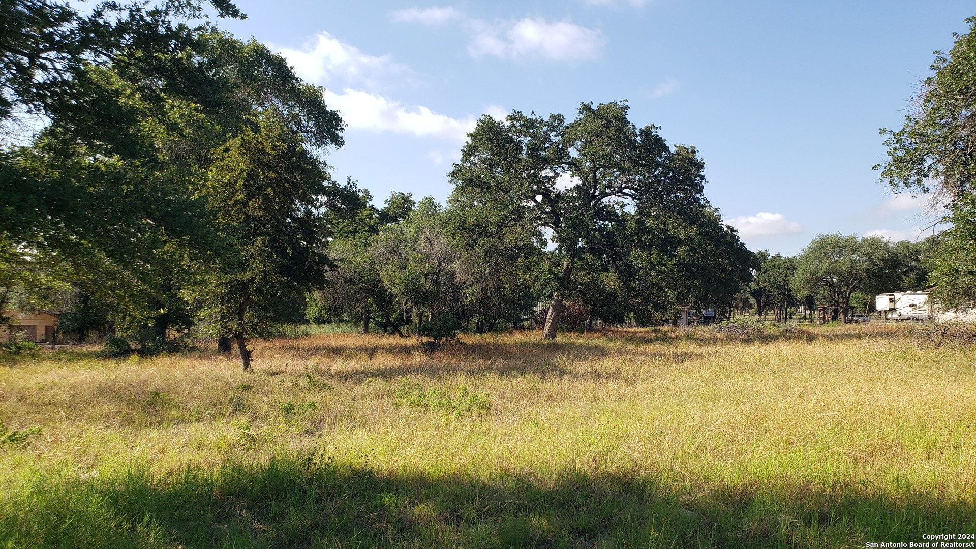 a view of yard with trees