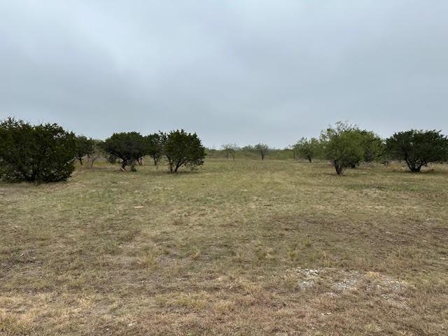 a view of a field with trees in the background