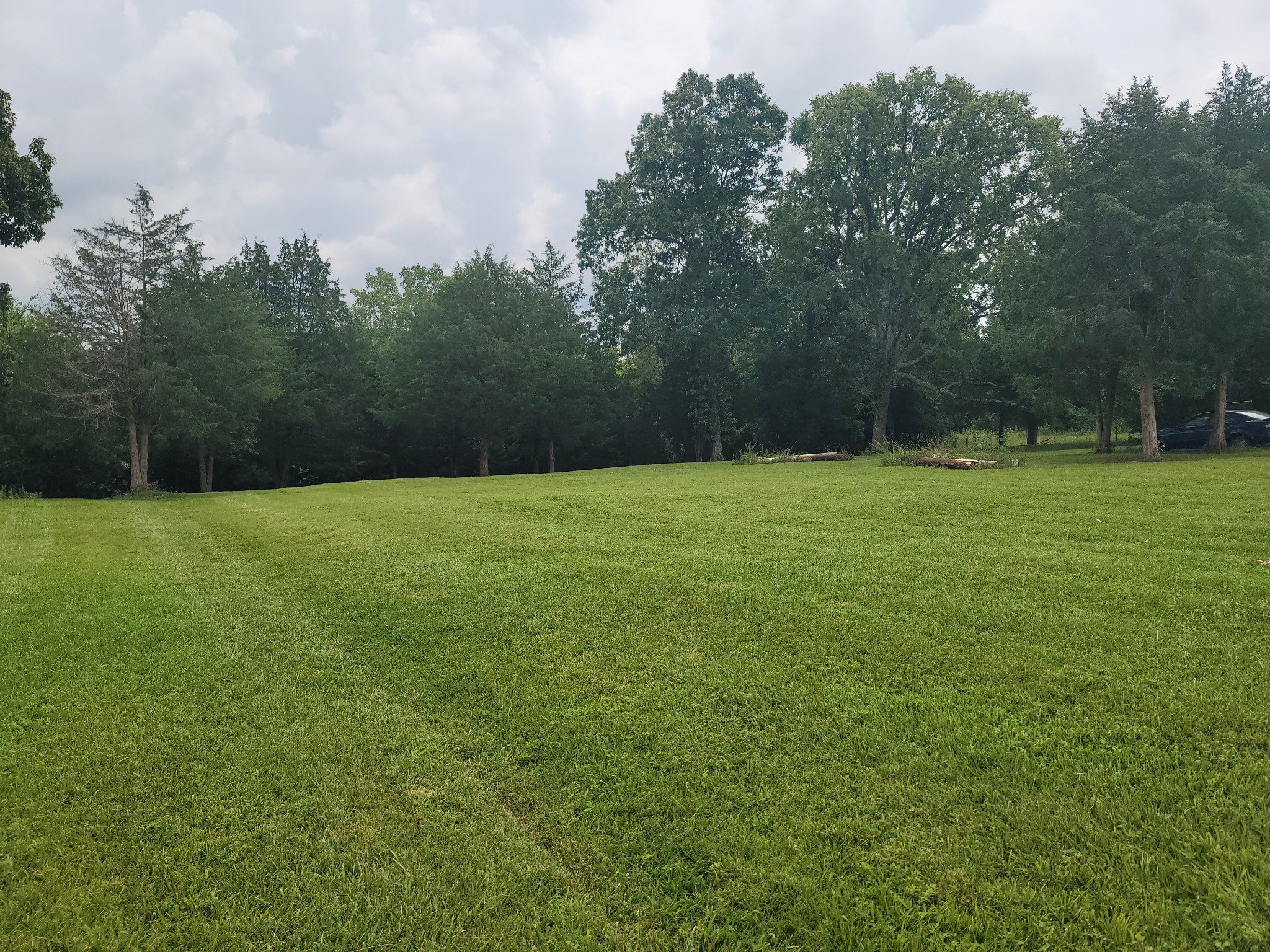 a view of a grassy field with trees in the background