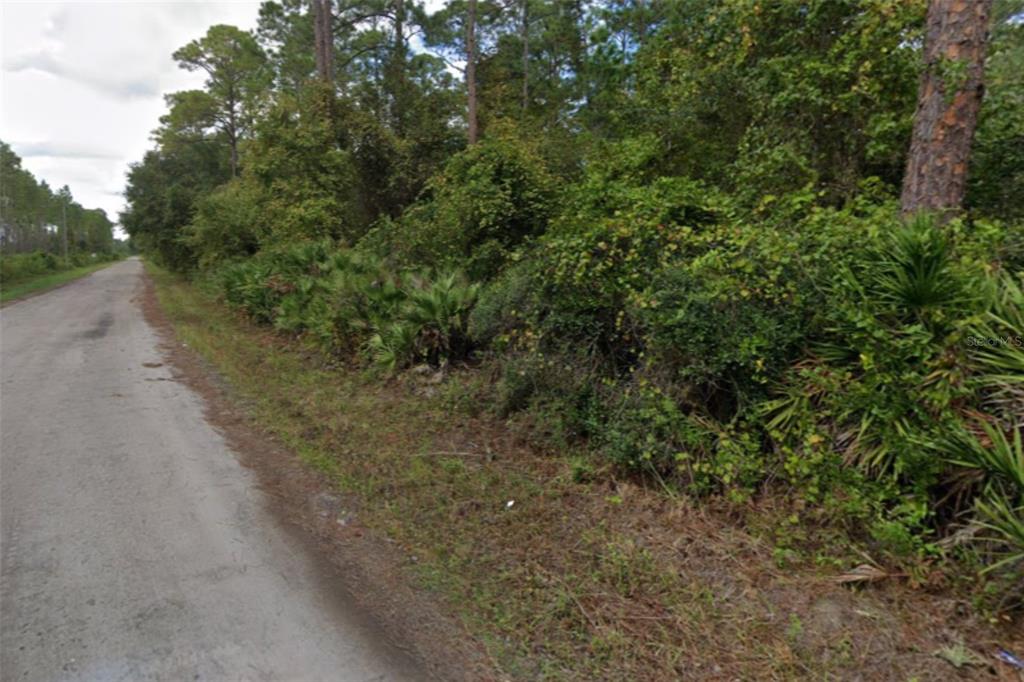 a view of a dirt road with trees