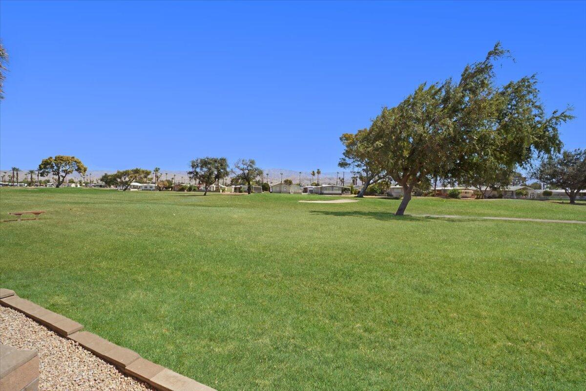 a view of a field with a tree in the background