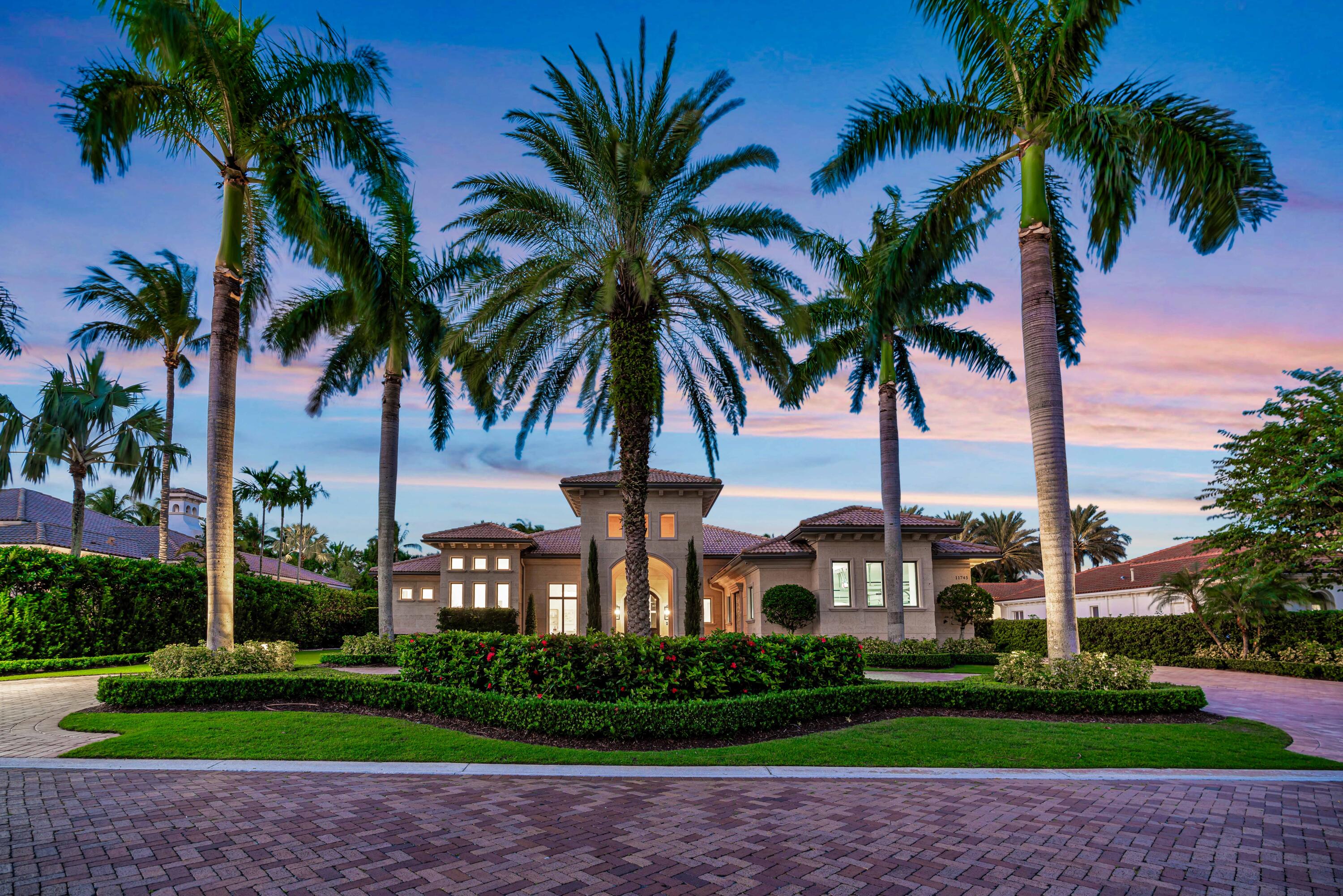 a view of a yard with a palm trees