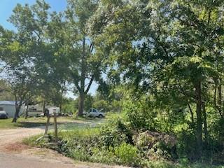 a view of park with large trees