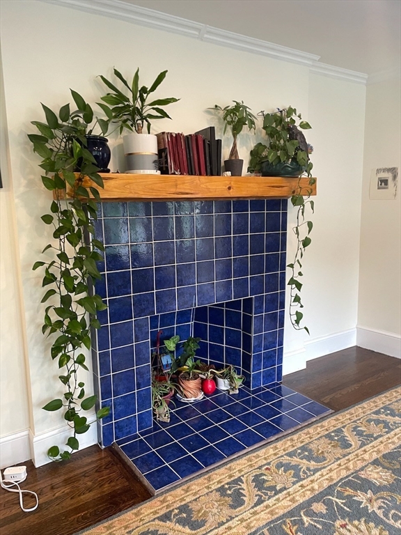 a view of a entryway door front of house