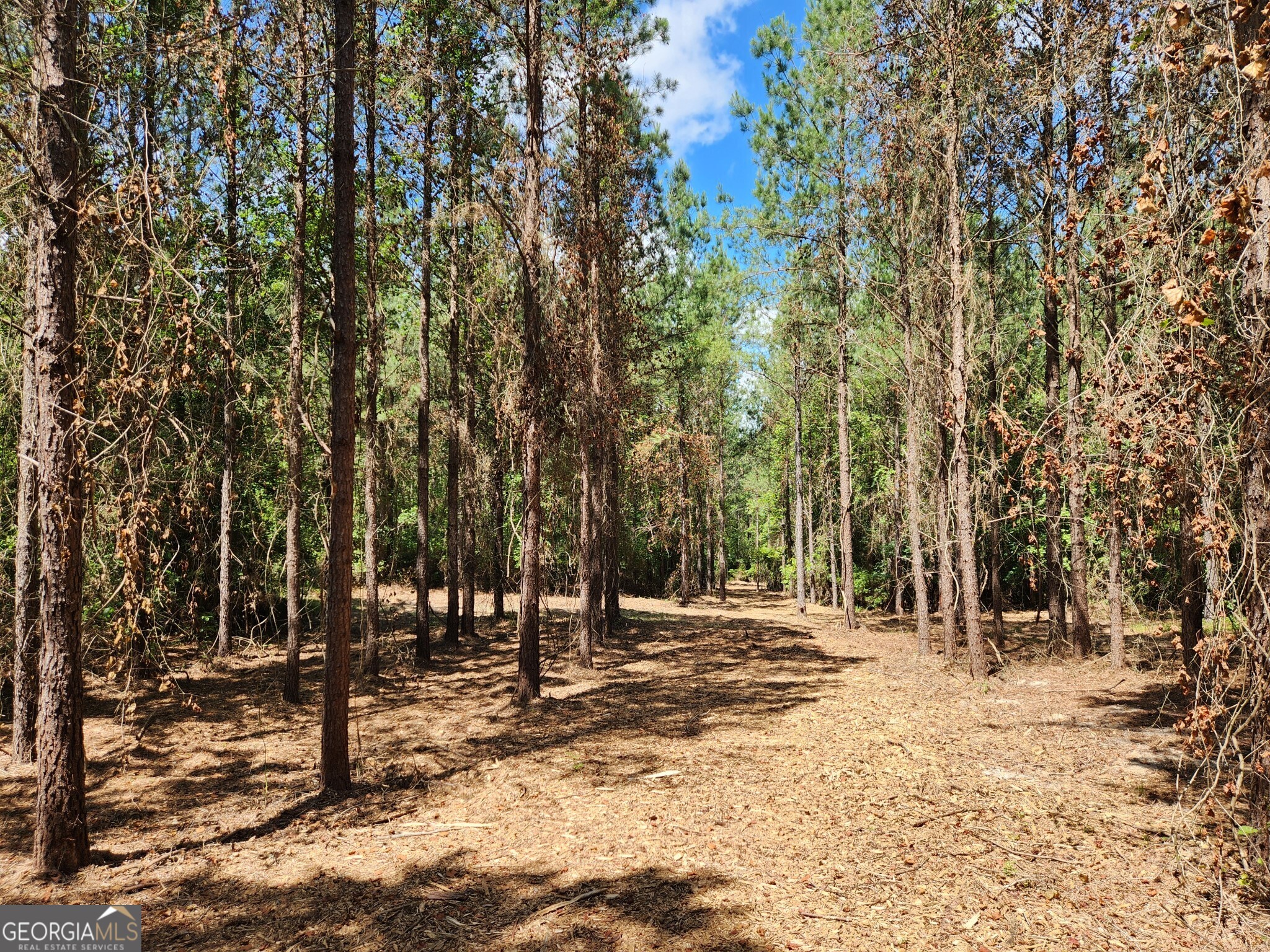 a view of outdoor space with trees