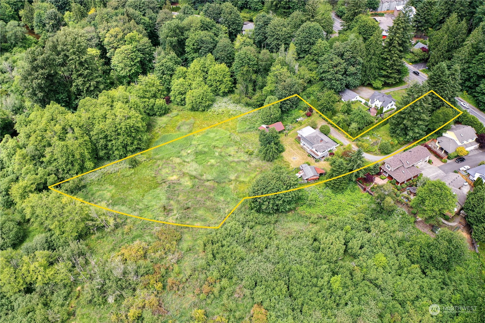 a view of a yard with an tree