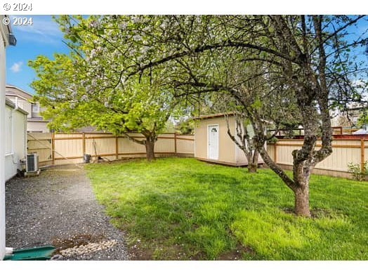 a backyard of a house with plants and large tree