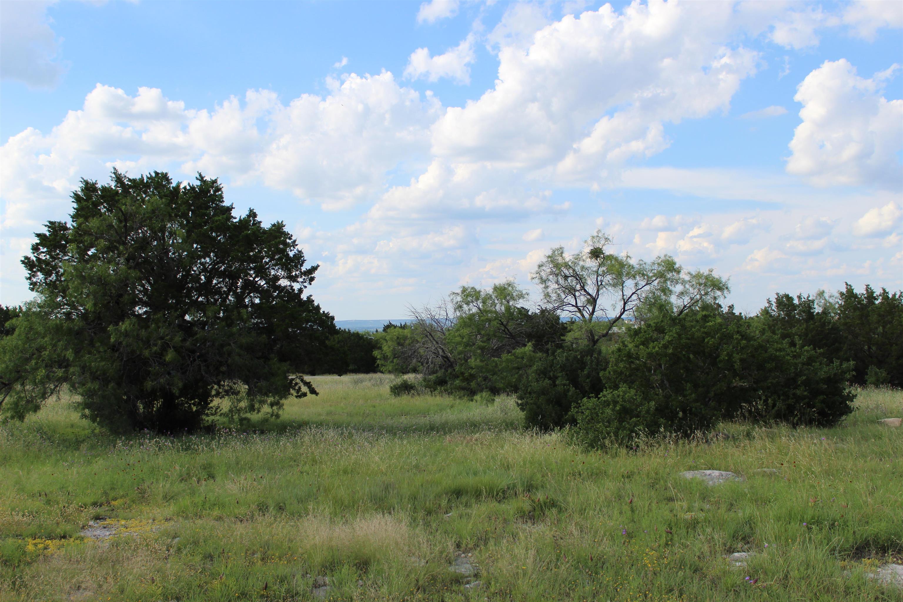 a view of a field of grass and trees