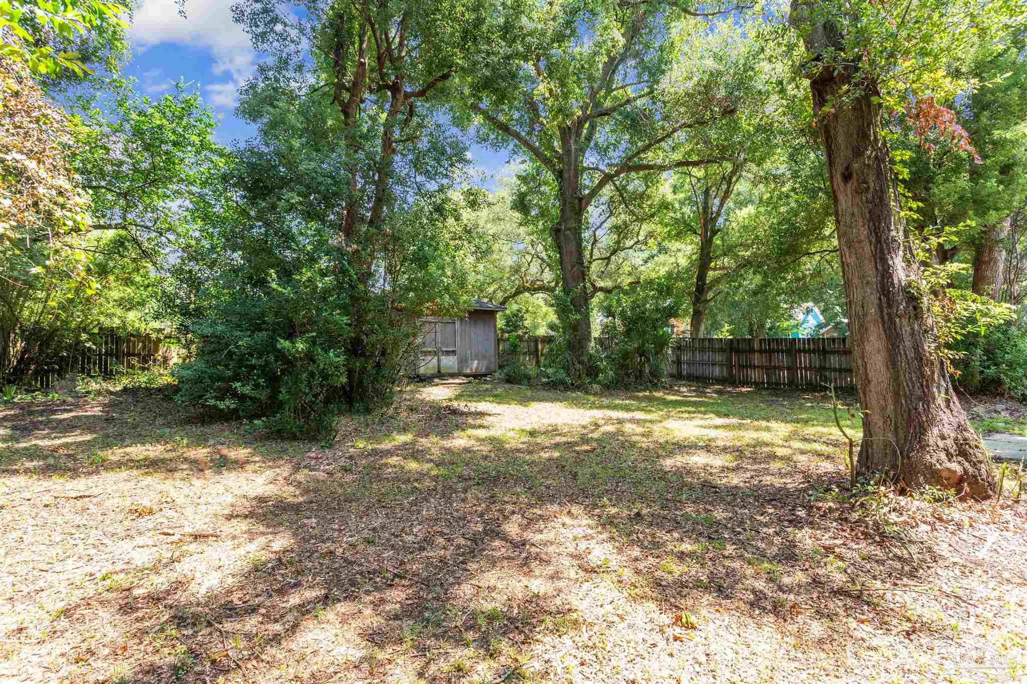 a view of a yard with a tree