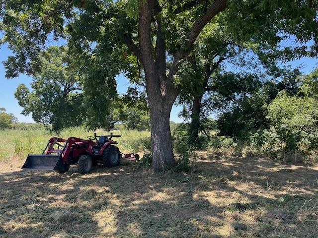 a view of a tree in front of a house