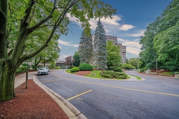 a view of a street with a bench and trees