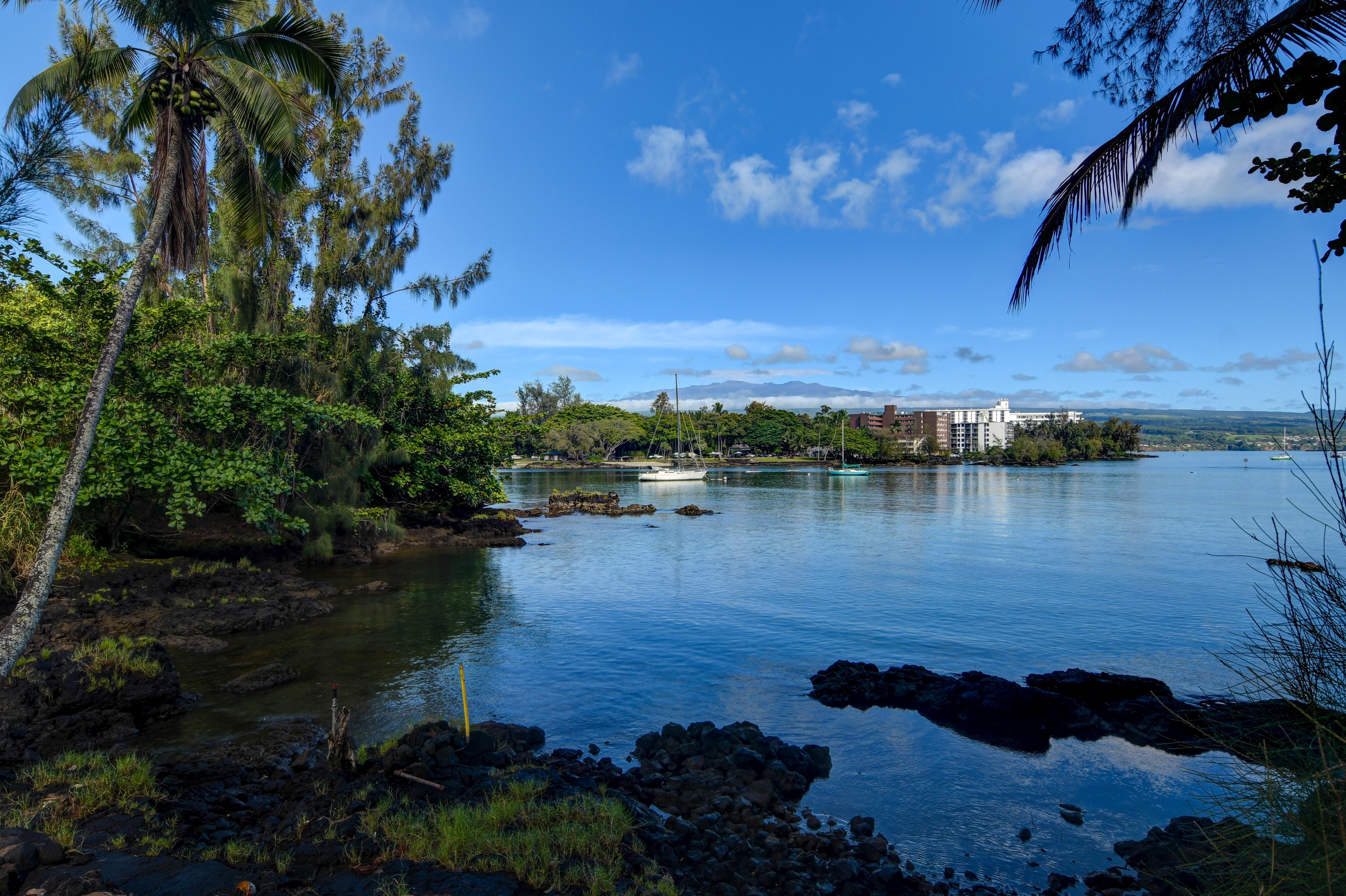 Looking out over Reeds bay, in your backyard!