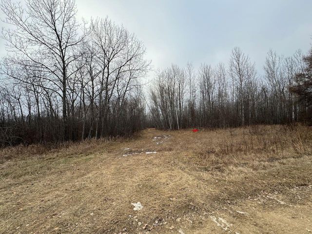 $179,900 | 80-acres Willow Creek Road Northeast | Kelliher Township - Beltrami County