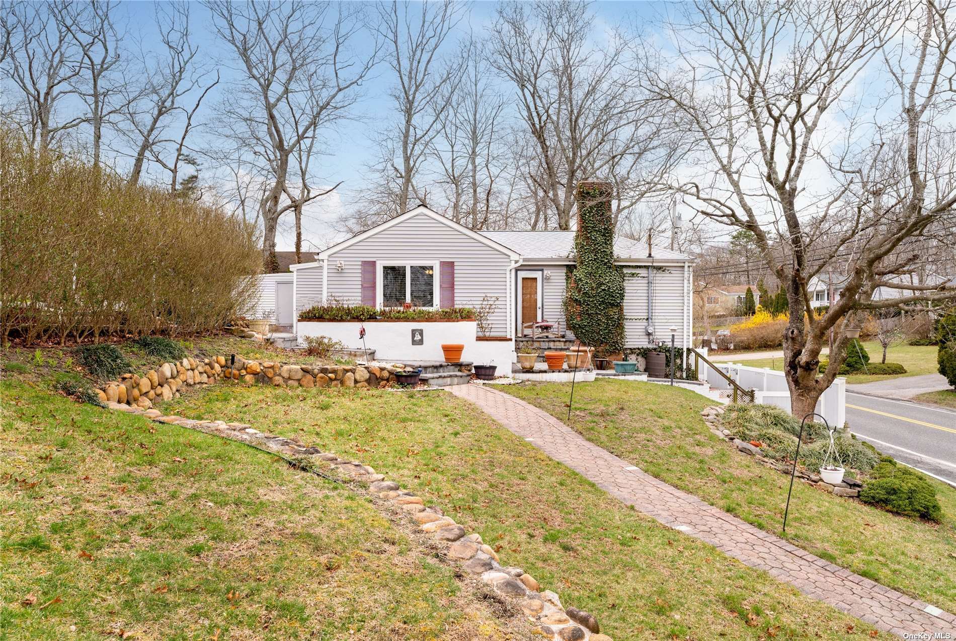 a front view of a house with a yard covered with snow and trees