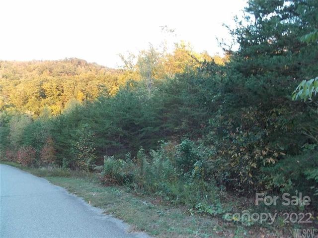 $9,000 | 2468 Lick Mountain Drive | Hudson Township - Caldwell County