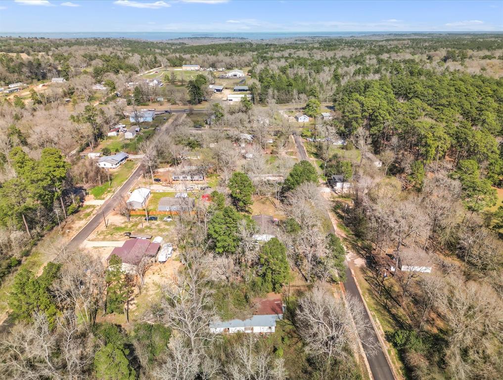 an aerial view of residential houses with outdoor space and trees