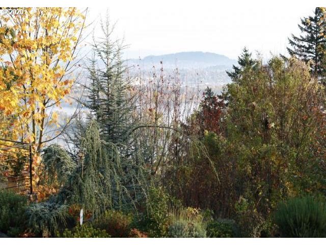 a view of mountain view with lots of trees