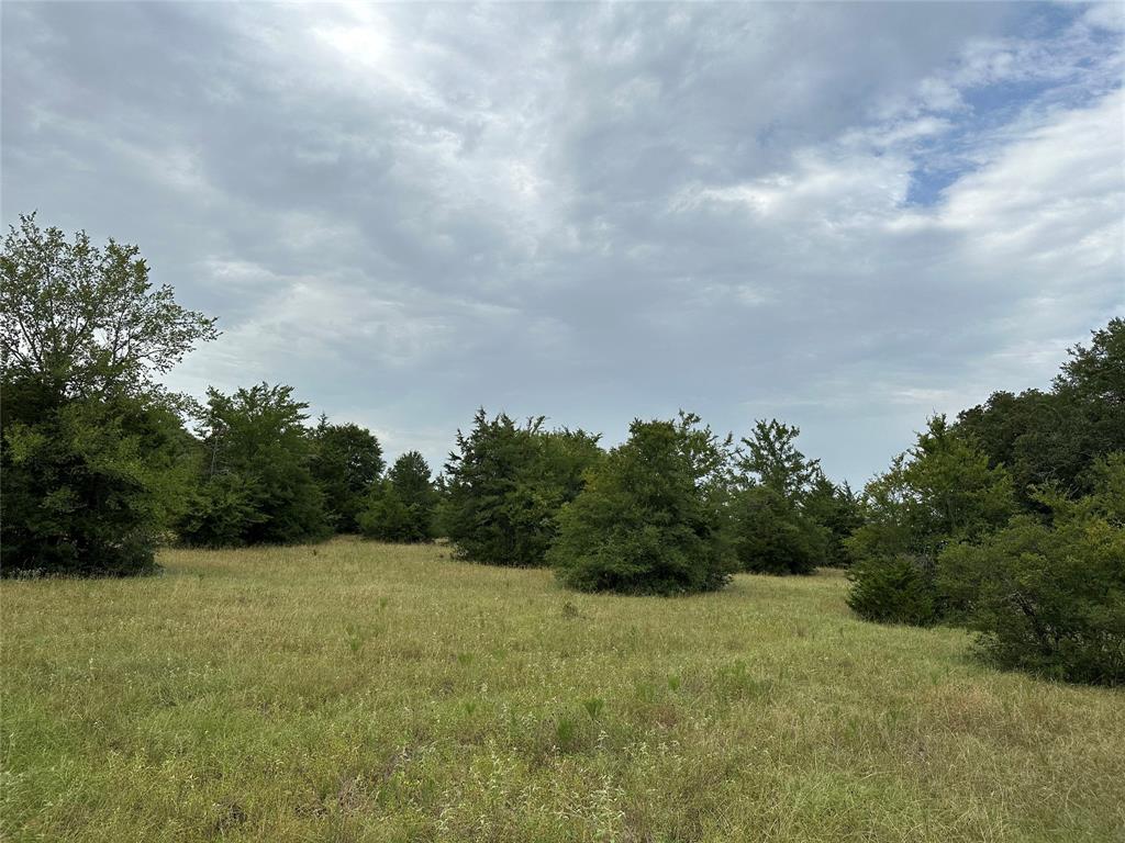 a view of a field of grass and trees