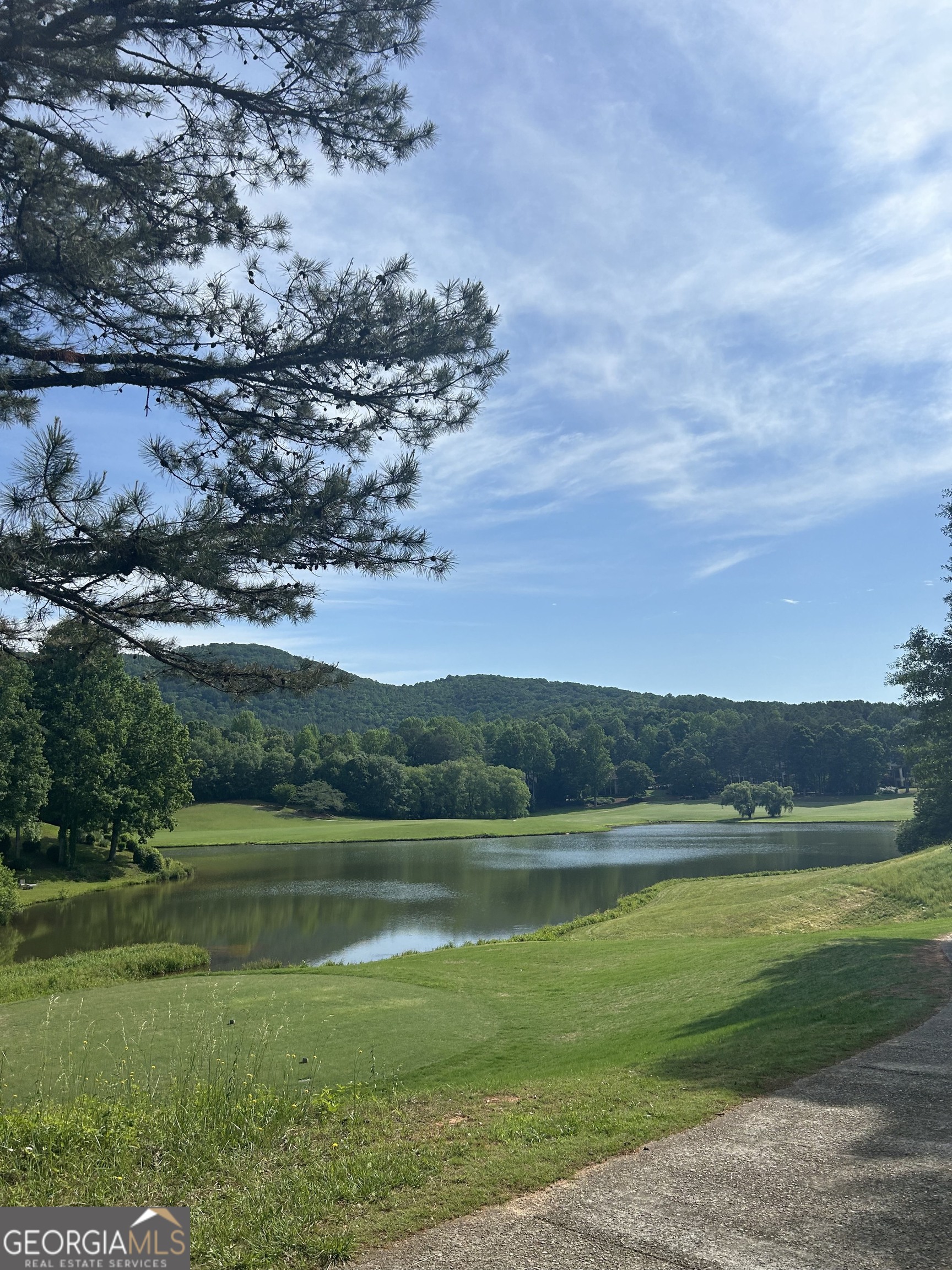 a view of a lake with a yard