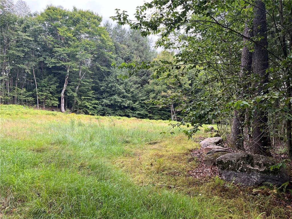 View of nature/ driveway cleared area for home build