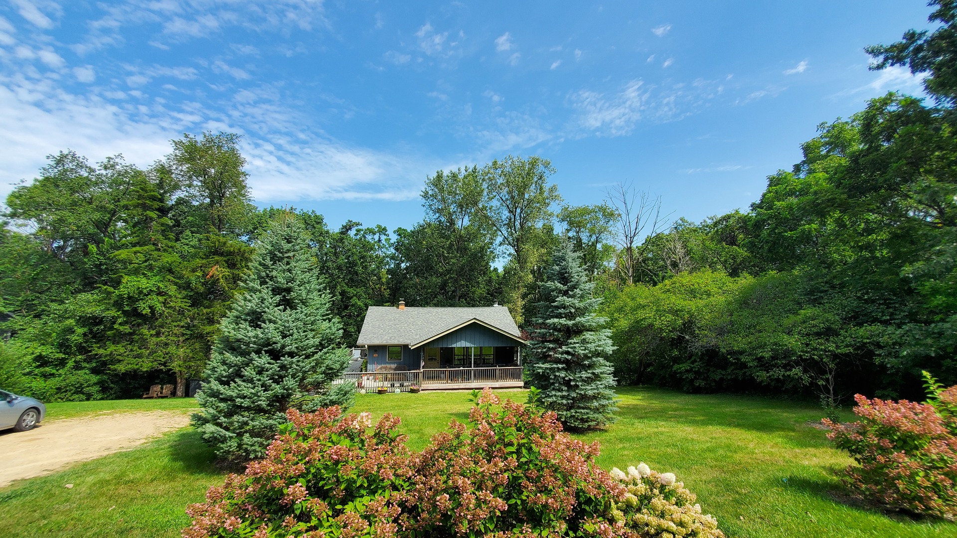 a view of a garden with plants and large trees