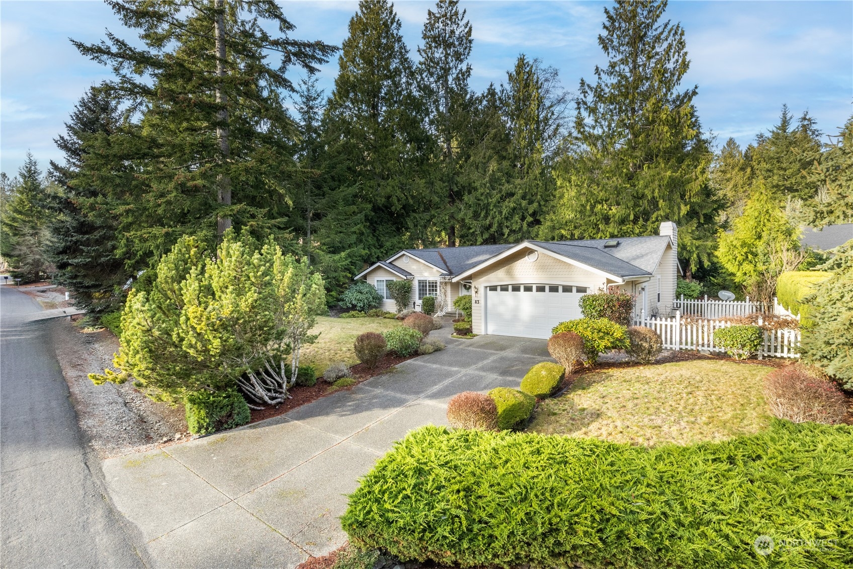 a view of a house with a small yard and a large tree