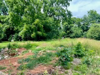 a view of backyard with green space