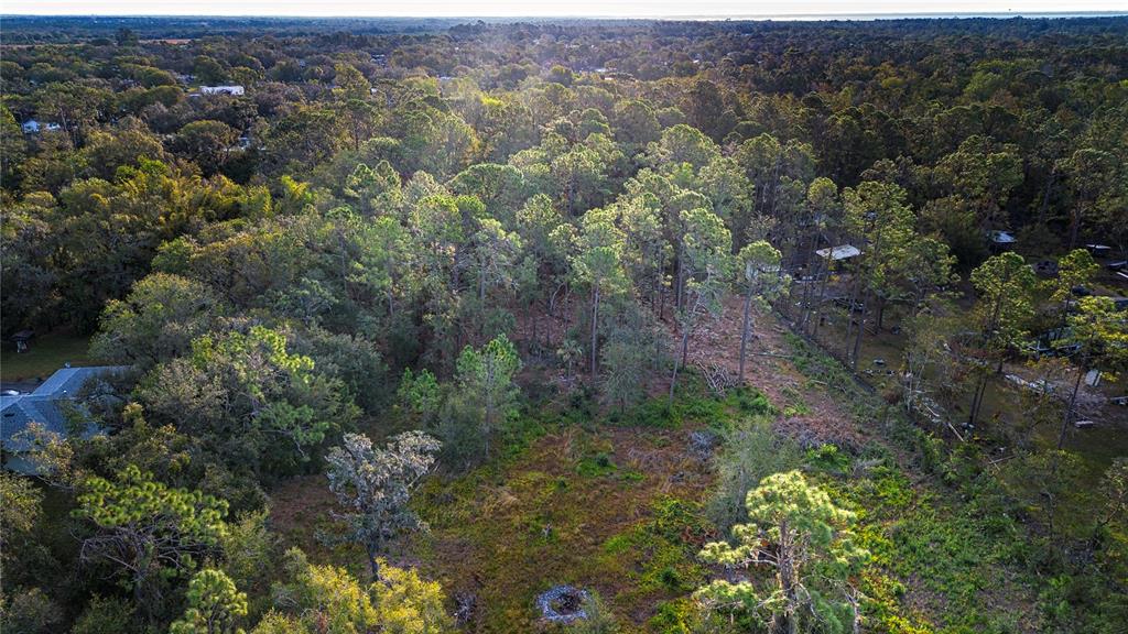 an aerial view of forest