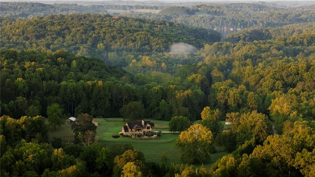 a view of a town with lush green forest