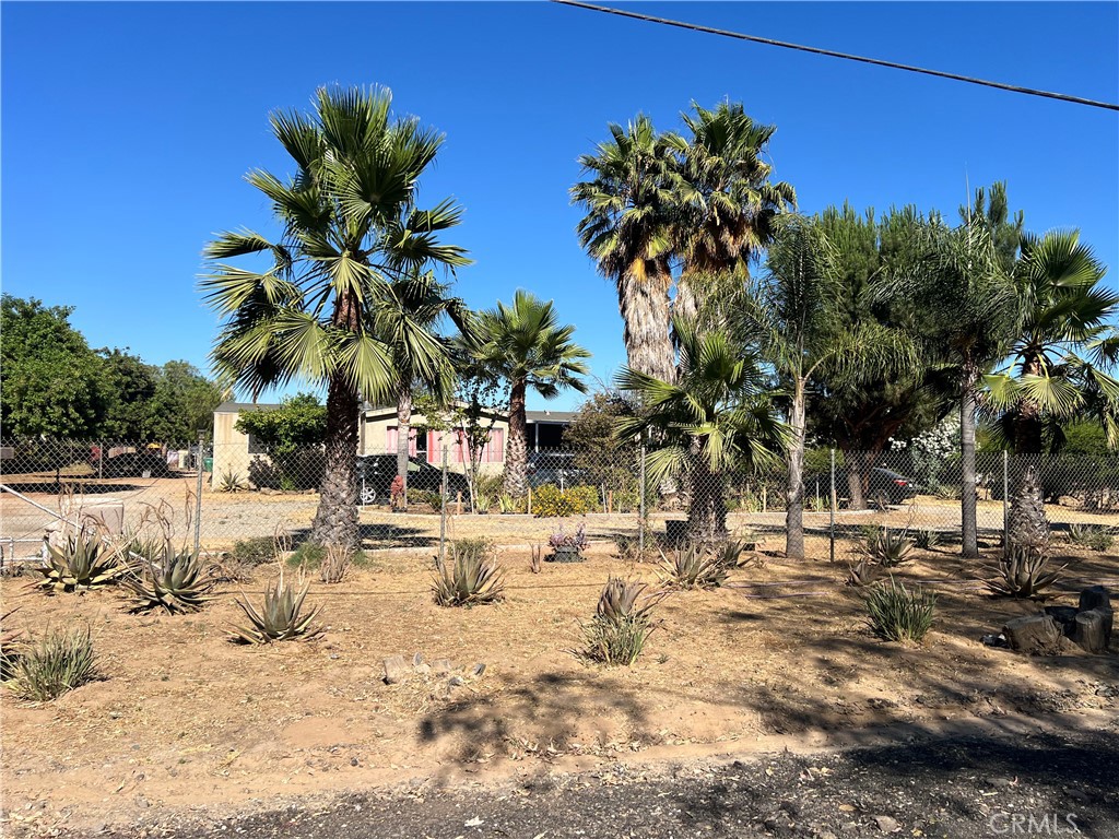 a view of a backyard of the house