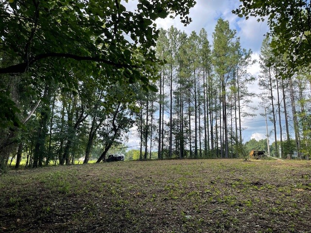 a view of outdoor space with trees