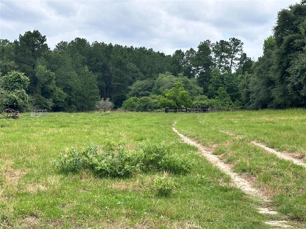 a view of field with trees in the background