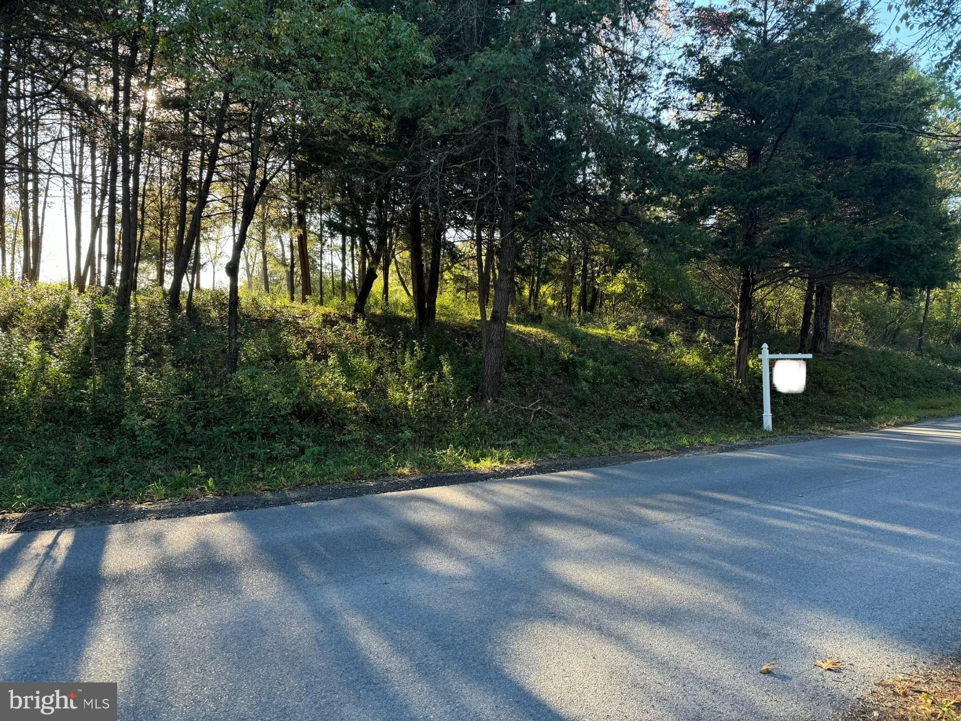 a view of a street